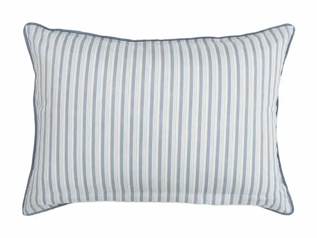 Borås Cotton Arosa örngott 50x60 Blå 