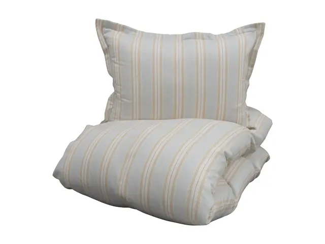 Borås Cotton Luca bäddset 150x210/50x60 Blå 