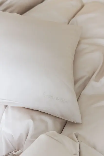 Borås Cotton Cloud örngott 50x60 Ljus beige 