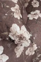 Borås Cotton Oline örngott 50x60 Brun