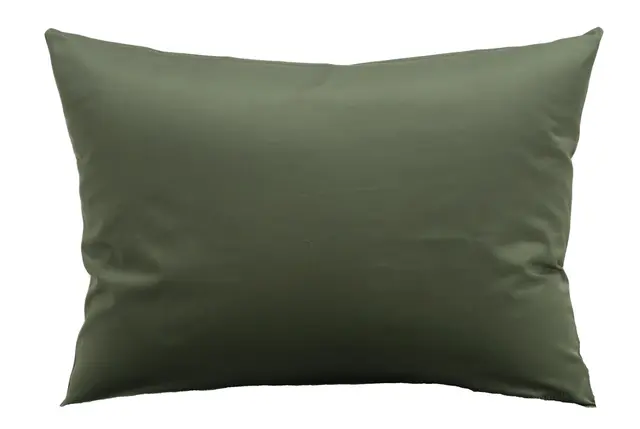 Borås Cotton Cloud örngott 45x50 Green 
