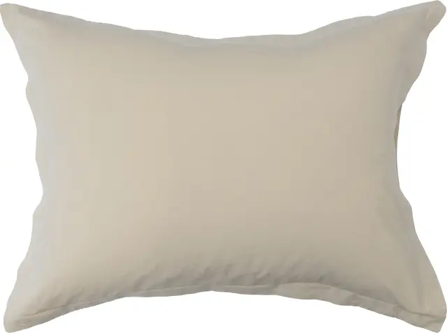 Gustav Ovland Saxon örngott 50x60 Beige / Vass 