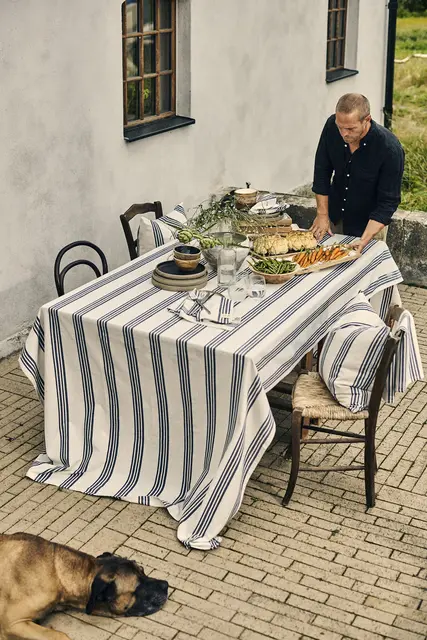 Gustav Ovland Apell kuddfodral 50x50 Blå / Blåbär 