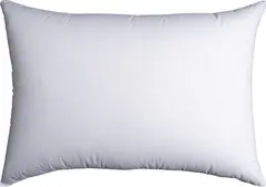 100 % Anddunkudde Halvor Bakke