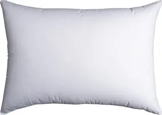 100 % Anddunkudde Halvor Bakke