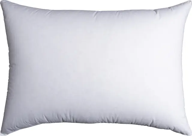 Halvor Bakke 100 % Anddunkudde Medel 50x60 360g 