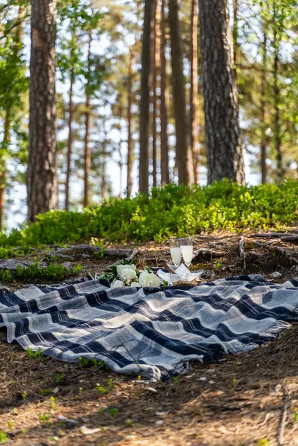 Halvor Bakke William picknickfilt 140x170 Blå 