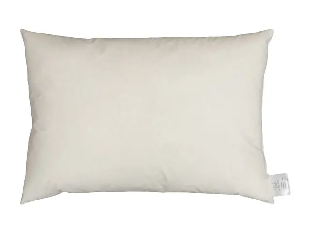 Norsk Dun innerkudde 40x60 100 % europeisk ankfjäder 