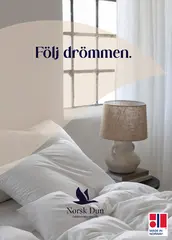 Plakat SE 50x70 F&#246;lj dr&#246;mmen med vinge