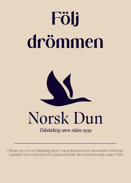 Affisch SE 50x70 Följ drömmen 