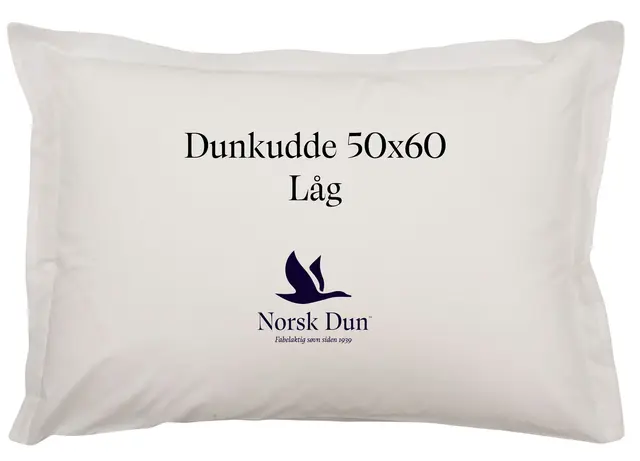 Norsk Dun örngott vit med tryck 50x60 Låg 