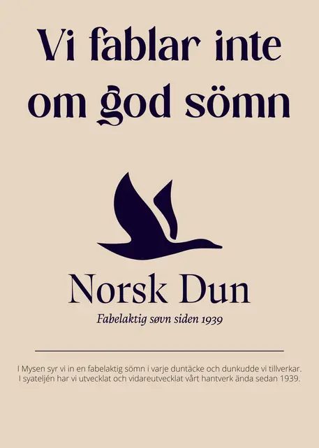 Affisch SE 50x70 Vi fablar inte om god sömn 