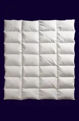 90 % Andduntäcke Norsk Dun