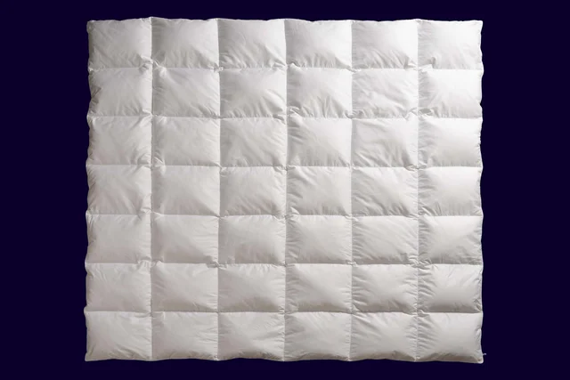 Norsk Dun 90 % gåsduntäcke Medel 230x220 630g 