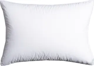 50 % Anddun hotellkudde Norsk Dun